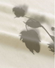 Camiseta LaTorre - Jardín Secreto ⊹˙⋆༶